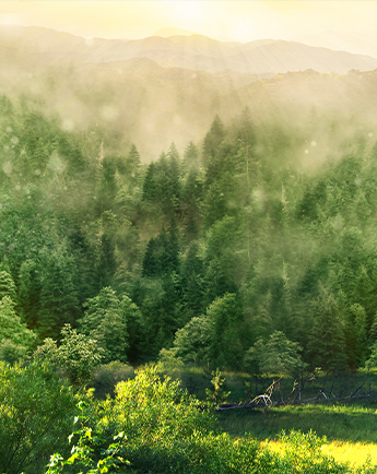 [Test4] News News News News News News News News News News News News News News